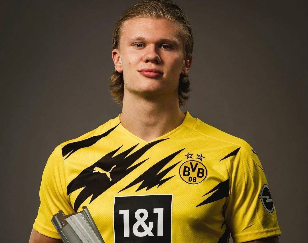 殊周期与品 殊周期与品